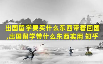 出国留学要买什么东西带着回国,出国留学带什么东西实用 知乎